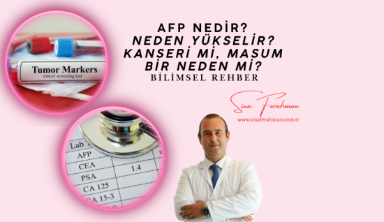 AFP Nedir? Neden Yükselir? Karaciğer Kanseri mi, Gebelik mi? Bilimsel Rehber