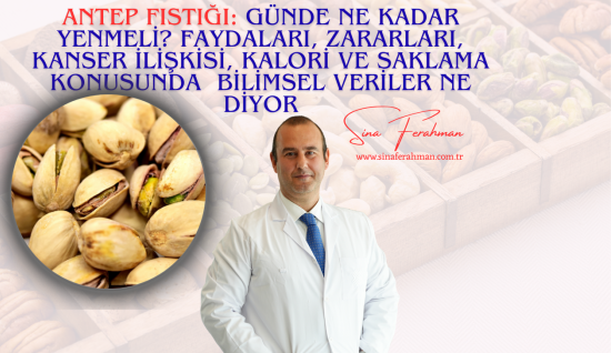 Antep Fıstığı: Günde Ne Kadar Yenmeli? Faydaları, Zararları, Kanser İlişkisi, Kalori ve Saklama konusunda  Bilimsel Veriler Ne Diyor