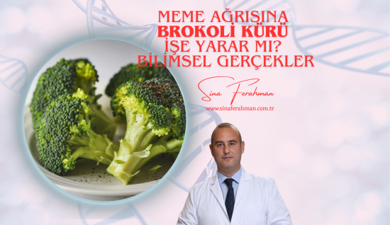 Meme Ağrısına Brokoli Kürü İşe Yarar mı? Nasıl Hazırlanır? Ne Kadar Tüketilmeli? Bilimsel Gerçekler