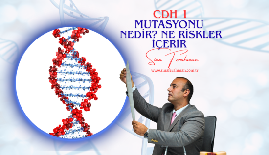 CDH1 Mutasyonu Hakkında Her Şey: Lobüler Meme Kanseri ve Diffüz Mide Kanseri Riski