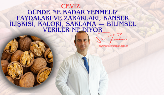Ceviz: Günde Ne Kadar Yenmeli? Faydaları ve Zararları, Kanser İlişkisi, Kalori, Saklama — Bilimsel Veriler Ne Diyor