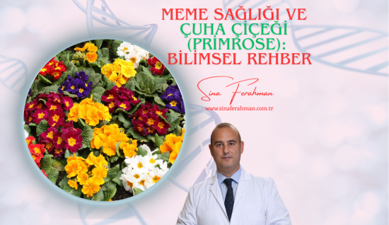 Çuha Çiğeği - Primol Oil (Evening Primrose Oil) ve Meme Ağrısı: Bilimsel Rehber | Ne İşe Yarar, Kimler İçin Uygun?