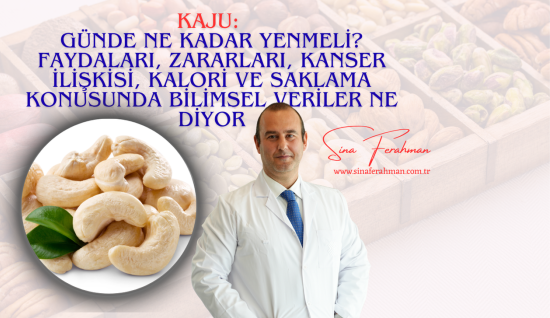 Kaju: Günde Ne Kadar Yenmeli? Faydaları, Zararları, Kanser İlişkisi, Kalori ve Saklama Bilimsel Veriler Ne Diyor