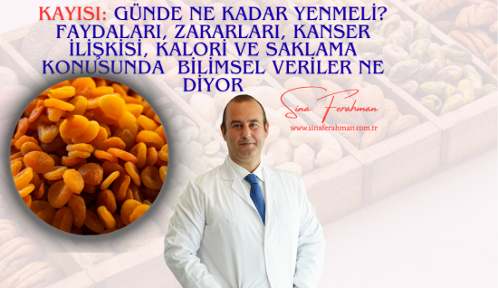 Kayısı: Günde Ne Kadar Yenmeli? Faydaları, Zararları, Kanser İlişkisi ve Meme Kanseri Üzerine Bilimsel Veriler Ne Diyor