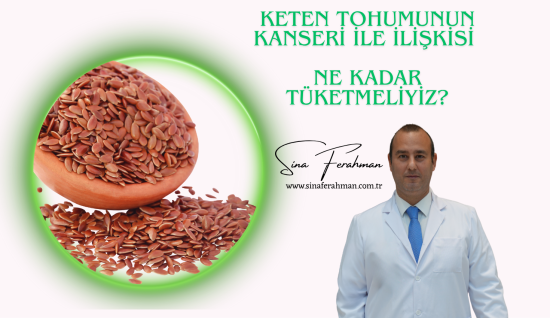 Keten Tohumu Zararlı mı? Meme Kanseriyle İlişkisi, Faydaları ve Ne Kadar Yenmeli?