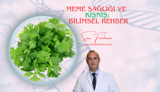 Meme Sağlığı ve Kişniş: Bilimsel Rehber | Nasıl Kullanılır, Kimler İçin Uygun, Ne Kadar Tüketilmeli?