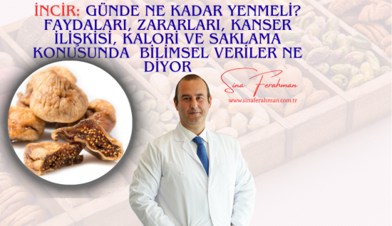 Kuru İncir: Günde Ne Kadar Yenmeli? Faydaları, Zararları, Kanser İlişkisi, Kalori ve Saklama Bilimsel Veriler Ne Diyor