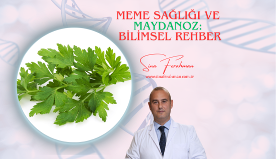 Meme Sağlığı ve Maydanoz: Bilimsel Rehber | Nasıl Kullanılır, Kimler İçin Uygun, Ne Kadar Tüketilmeli?