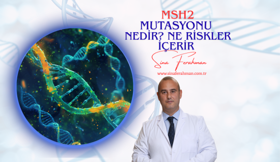 MSH2 Mutasyonu: Bilimsel Veriler ve Kanıtlar — Lynch Sendromu, Meme Kanseri İlişkisi ve Test Zamanı