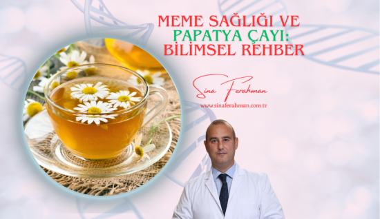 Papatya Çayının Meme Sağlığına Etkisi: Bilimsel Rehber | Nasıl Kullanılır, Kimler İçin Uygun, Ne Kadar Tüketilmeli?