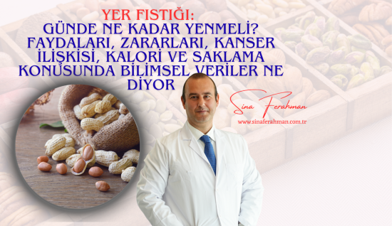 Yer Fıstığı: Günde Ne Kadar Yenmeli? Faydaları, Zararları, Kanser İlişkisi, Kalori ve Saklama Bilimsel Veriler Ne Diyor