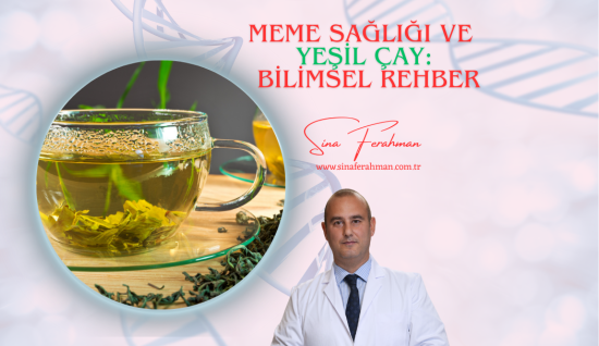 Yeşil Çay ve Meme Sağlığı: Bilimsel Rehber | Nasıl Kullanılır, Ne Kadar Tüketilmeli?