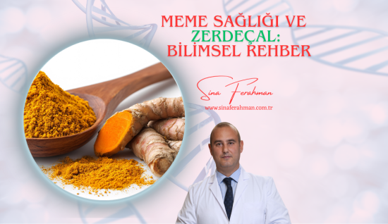 Zerdeçal ve Meme Sağlığı: Bilimsel Rehber | Nasıl Kullanılır, Ne Kadar Tüketilmeli?
