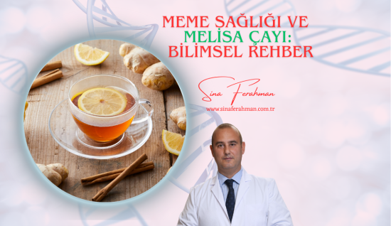 Melisa Çayı ve Meme Sağlığı: Bilimsel Rehber | Nasıl Kullanılır, Kimler İçin Uygun, Ne Kadar Tüketilmeli?